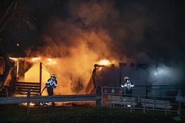 Paarden door brandweer uit vlammenzee gered in Halfweg