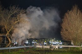 Paarden door brandweer uit vlammenzee gered in Halfweg