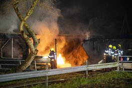 Paarden door brandweer uit vlammenzee gered in Halfweg