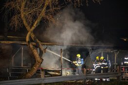 Paarden door brandweer uit vlammenzee gered in Halfweg