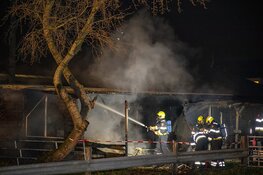 Twee paarden overleden bij stalbrand in Halfweg