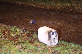 Auto in brand: gewonde gevlucht