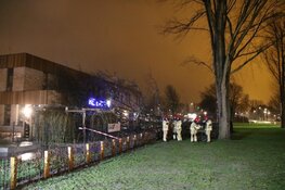 Boom tegen school in Aalsmeer