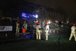 Boom tegen school in Aalsmeer