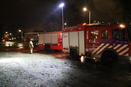 Boom tegen school in Aalsmeer