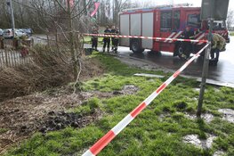 Rook komt uit gras omhoog naast Pannenkoeken paviljoen Cruquius