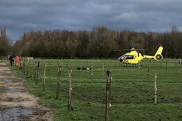 Ruiter gewond na val van paard