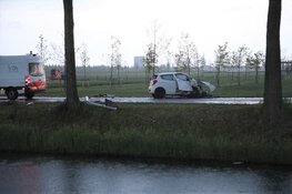 Auto tegen boom, bestuurder gewond