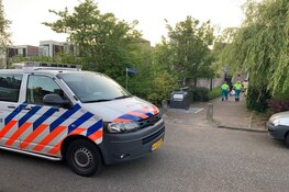 Auto belandt in sloot in Aalsmeer, bestuurder na vluchtpoging gepakt