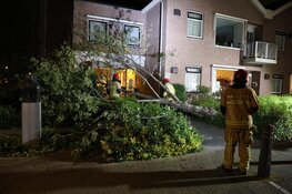 Omgewaaide boom verspert verzorgingshuis
