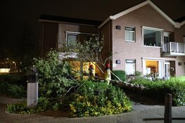 Omgewaaide boom verspert verzorgingshuis