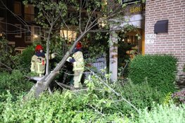 Omgewaaide boom verspert verzorgingshuis