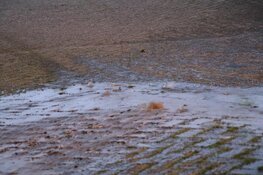 Hollandsche Dijk afgesloten vanwege sinkhole in weg
