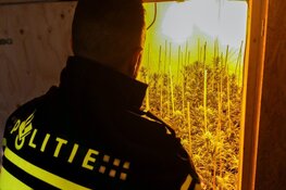 Hennepkwekerij ontdekt in Hoofddorp