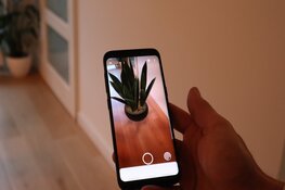 Eerste plantenwebshop van Nederland die gebruik maakt van Augmented Reality