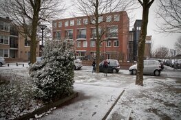 Sneeuwpret in Aalsmeer