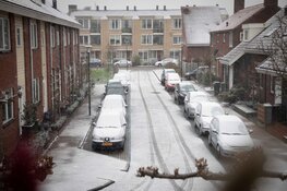 Sneeuwpret in Aalsmeer
