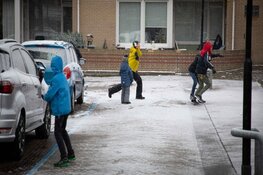 Sneeuwpret in Aalsmeer