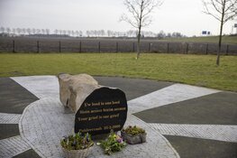 Bloemen bij Poldercrash monument vlucht TK 1951
