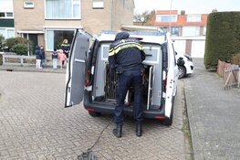 Overval op pakketbezorger in Hoofddorp