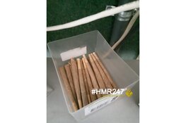 Aanhoudingen voor dealen aan minderjarigen