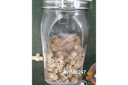 Aanhoudingen voor dealen aan minderjarigen