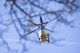 Man overleden na steekpartij in Abbenes, verdachte aangehouden