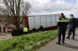 Dieren in beslag genomen in Spaarndam