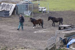 Dieren in beslag genomen in Spaarndam