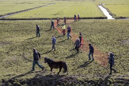 Dieren in beslag genomen in Spaarndam
