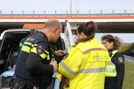 Meerkoetje "Willempie" door hulpdiensten gered