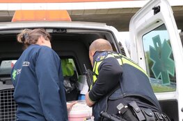 Meerkoetje "Willempie" door hulpdiensten gered