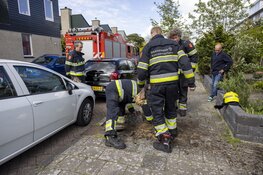 Brandweer haalt bijna omgewaaide boom uit de grond in Halfweg