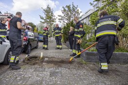 Brandweer haalt bijna omgewaaide boom uit de grond in Halfweg