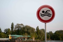 Surfeiland in Aalsmeer, verboden te zwemmen?