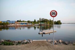 Surfeiland in Aalsmeer, verboden te zwemmen?