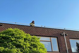 Brand onder dak bij basisschool in De Kwakel, brandweer snel ter plaatse